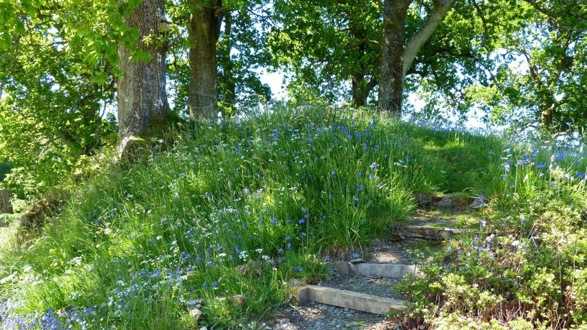 Blarghour Farm Cottages Ardchonnell المظهر الخارجي الصورة